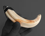 Maori Necklace | Extra Large Niho Poaka Pig Tusk
