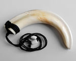 Maori Necklace | Extra Large Niho Poaka Pig Tusk