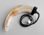 Maori Necklace | Extra Large Niho Poaka Pig Tusk