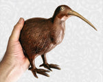 The brass Kiwi bird held in a human hand, emphasizing its 250mm length and significant weight.